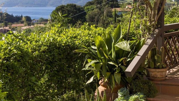 A lush garden with a variety of plants and a view of a mountainous landscape in the background. - Villa Monserrato with garden and sea view (Porto Azzurro)