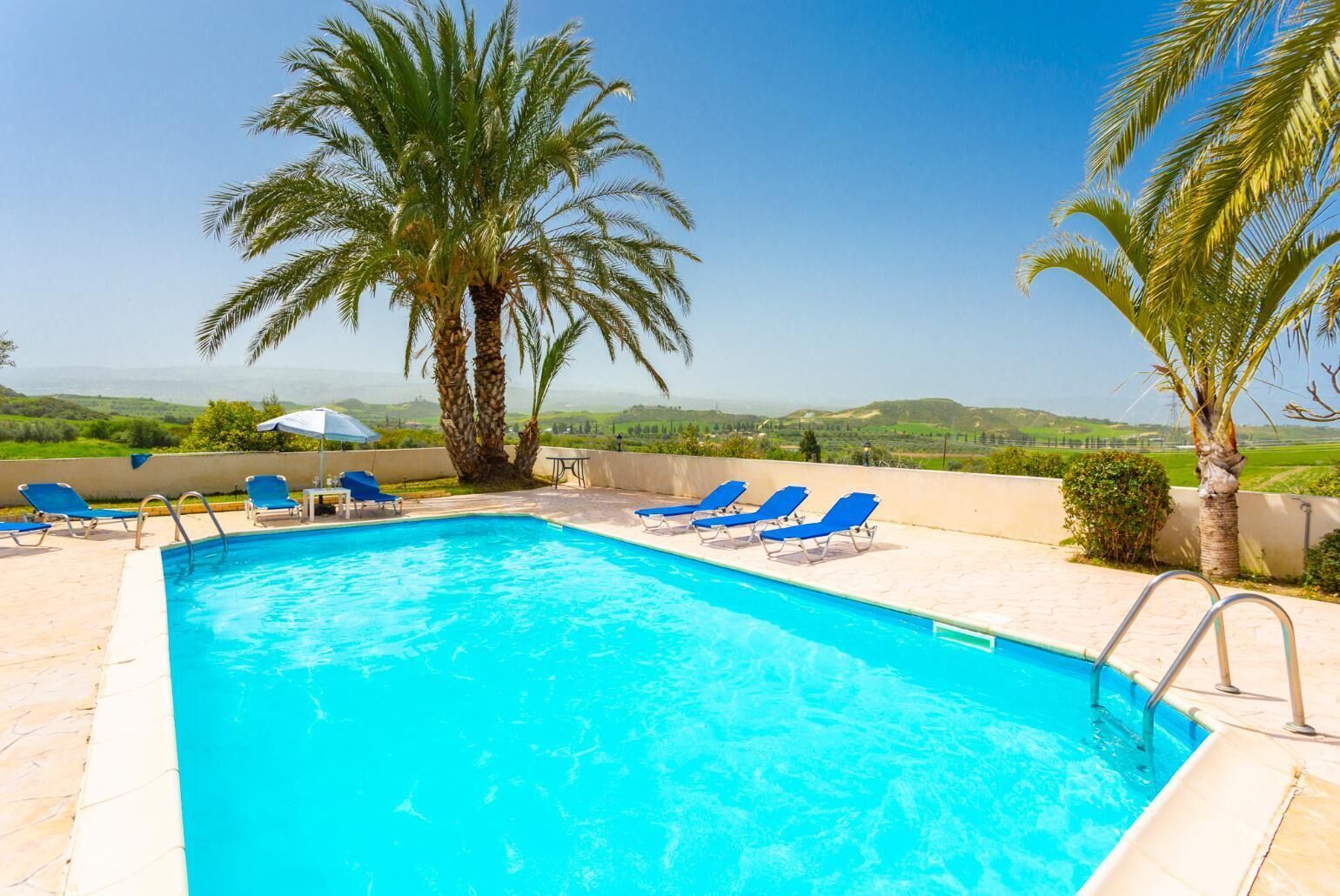 Ein rechteckiger Swimmingpool mit klarem, blauem Wasser, umgeben von blauen Liegestühlen und Palmen.