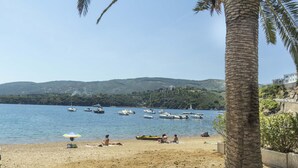 Una spiaggia con barche sull'acqua, persone che prendono il sole e una palma.