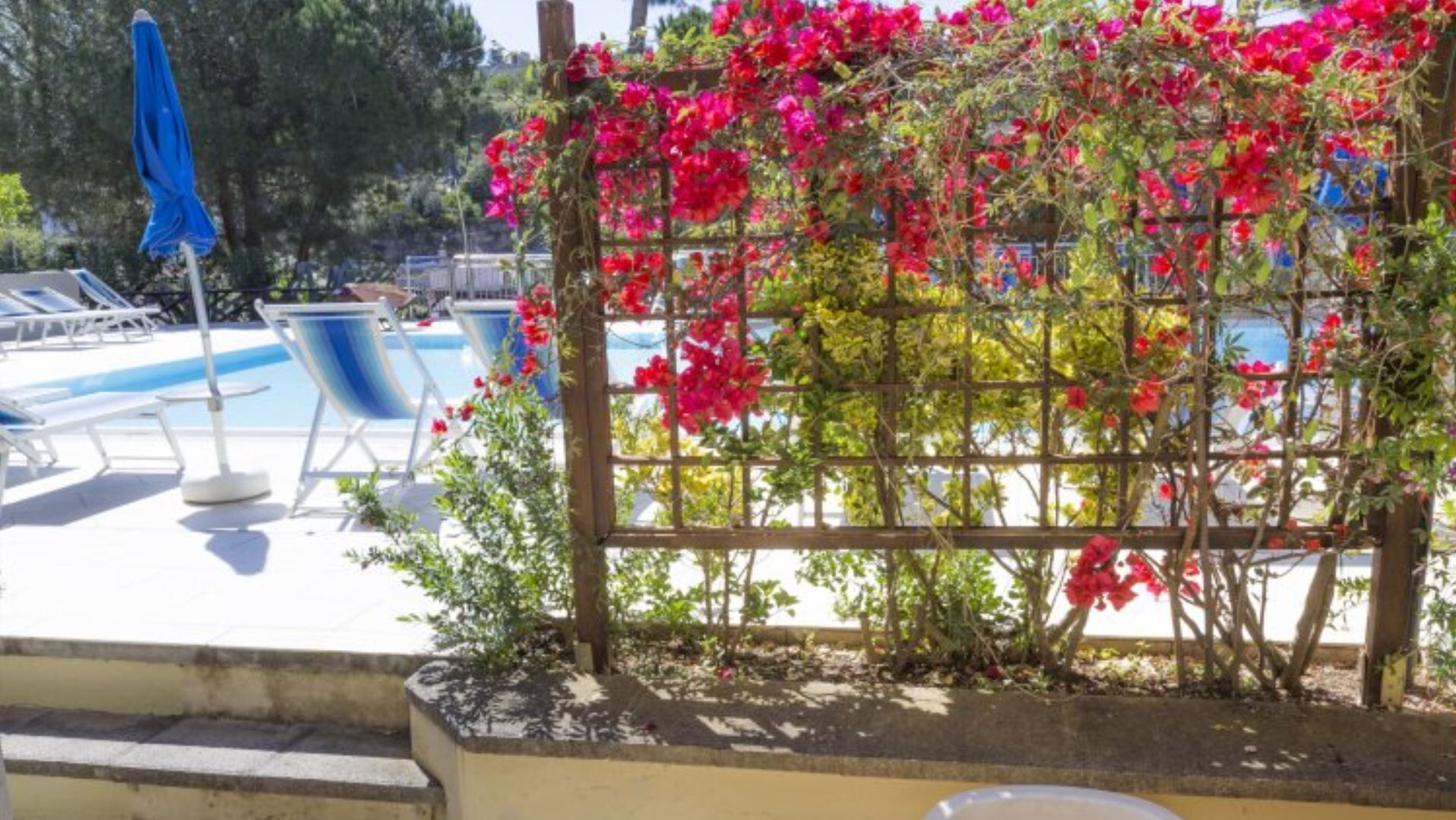 A pool area with lounge chairs and a pergola covered in flowering plants.