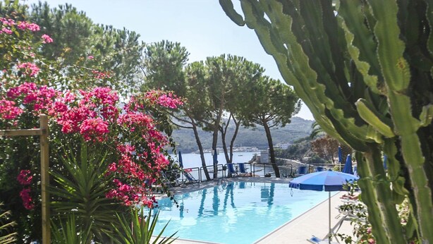 A pool area with a view of the sea, surrounded by cacti and pink flowers. - Studio 4 with sea view pool in a panoramic position above the village of Porto Azzurro (Porto Azzurro)