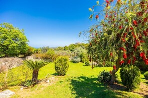 A lush garden with a variety of trees and shrubs, a clear blue sky, and a distant view of the sea.