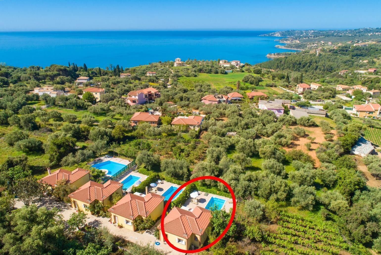 Vue aérienne d’une zone résidentielle côtière, avec des maisons, des oliviers et une mer d’un bleu limpide.