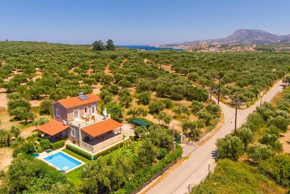Uma casa com piscina, rodeada por oliveiras e uma estrada.