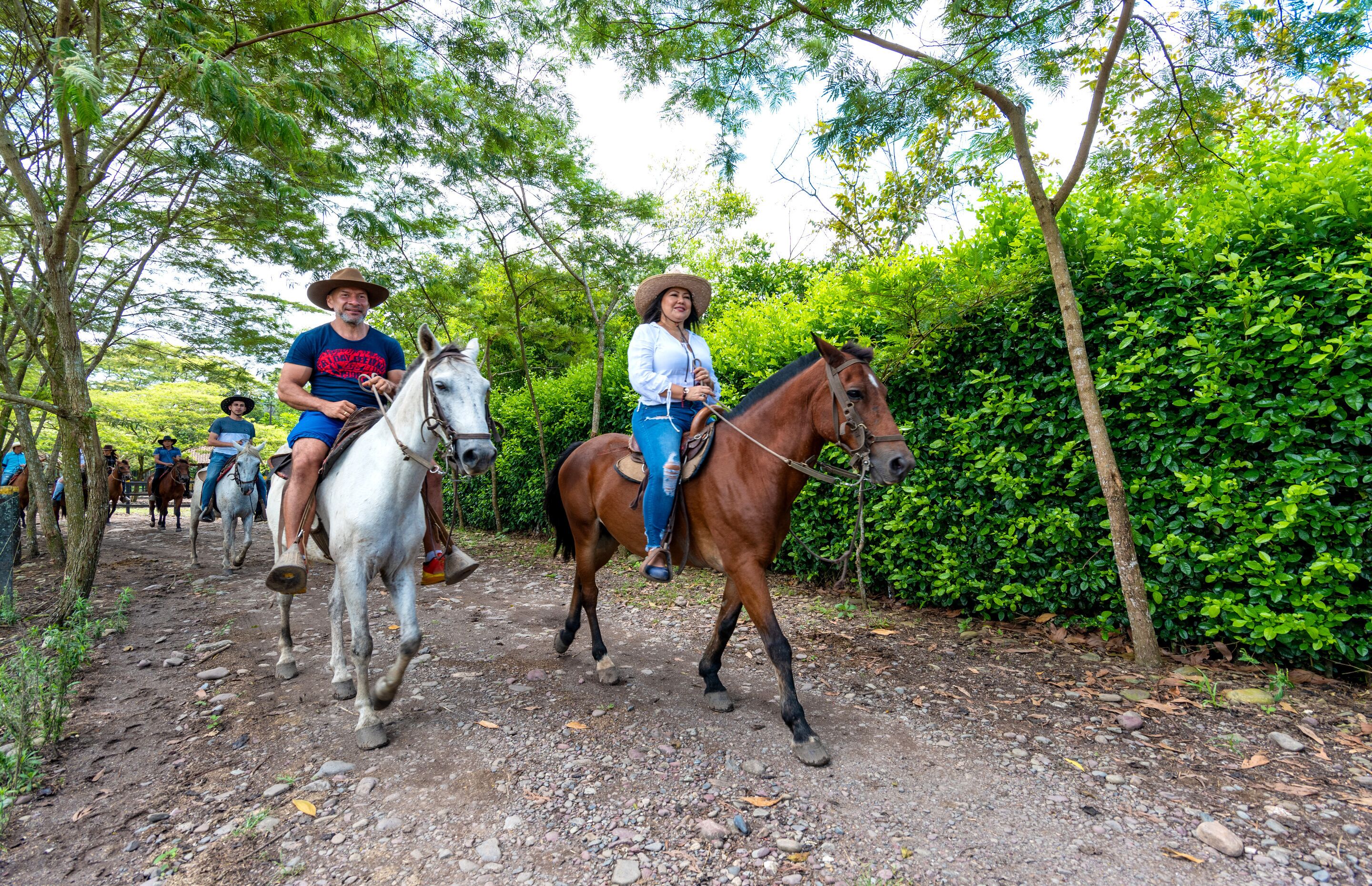 A group of people riding horses on a dirt path surrounded by greenery.