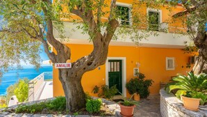 Un edificio costero con un letrero que dice "AMALIA" y una puerta verde, rodeado de plantas en macetas y un muro de piedra.