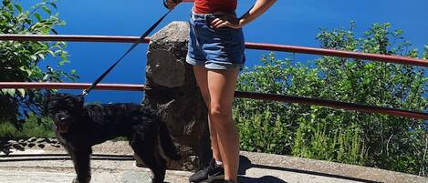 A person standing on a stone platform with a dog, overlooking a body of water and mountains.