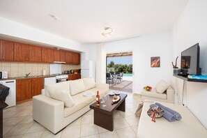 تلفزيون، مشغل دي في دي