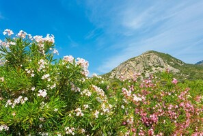 Miscellaneous - Villa Peach - Two Bedroom Villa, Sleeps 5 (Ionian Islands)