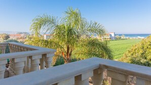 A balcony with a view of a coastal landscape, including a palm tree and a grassy field.