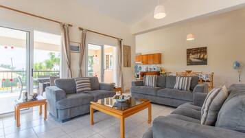 TV, fireplace, DVD player