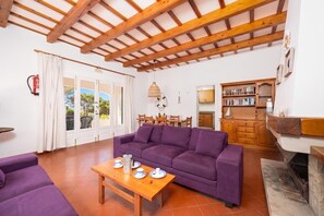 Una televisión, una chimenea, un reproductor de DVD, libros