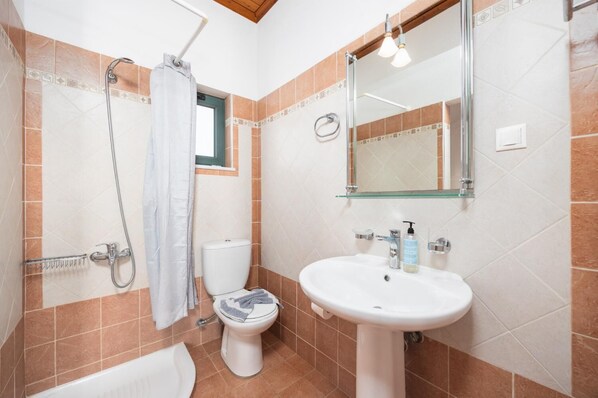 Un baño con ducha, inodoro, lavamanos y espejo.