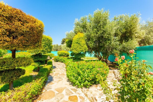 Un sentier de jardin bordé de haies soigneusement taillées et d’un chemin de pierres.