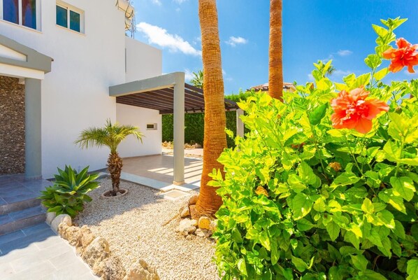 Una casa moderna con un porche cubierto, palmeras y un jardín con follaje verde y una flor roja.