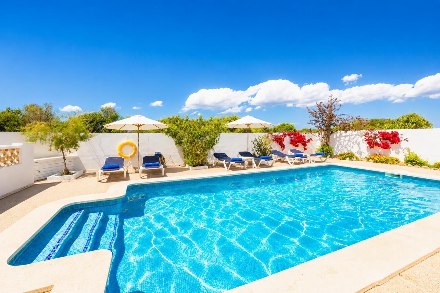 A swimming pool with lounge chairs and umbrellas, surrounded by greenery and a white wall.