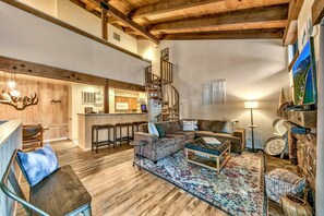 Télévision, cheminée, jeux vidéo