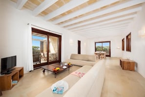 TV, fireplace, DVD player