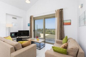 TV, fireplace, DVD player