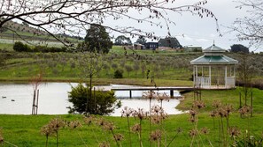 Área da propriedade