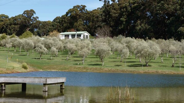A house surrounded by a field of trees and a body of water.