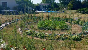Ein Garten mit verschiedenen Pflanzen und einem Gebäude im Hintergrund.