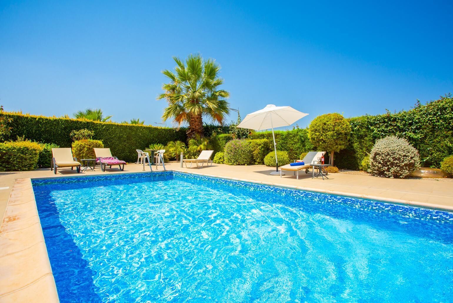 A rectangular swimming pool with clear blue water, surrounded by lounge chairs and a palm tree.
