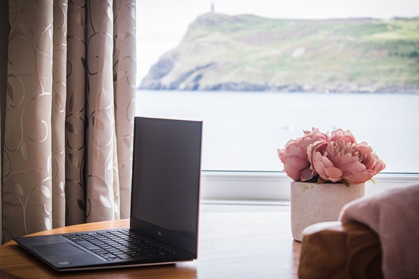 Work from home with this view of the seai