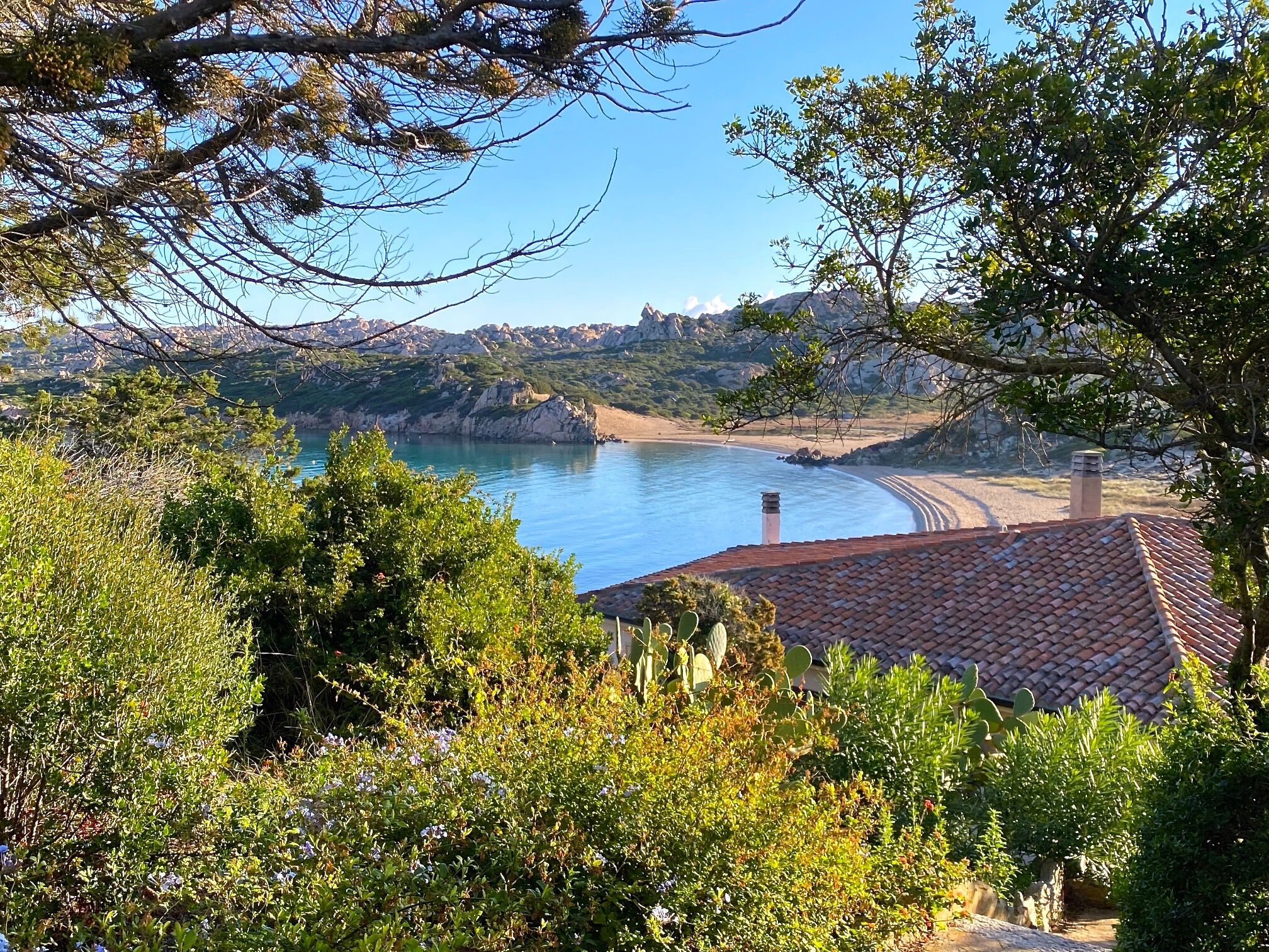 A coastal landscape with a beach, rocky cliffs, and lush greenery.
