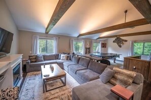 TV connectée, cheminée, jeux vidéo, lecteur de DVD