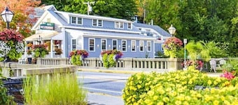 Spacious pet & family-friendly, fastest wifi! Giant playset, fire pit, & games!