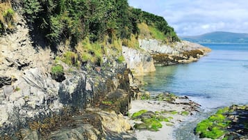 Playa en los alrededores y camastros