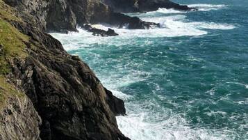 Beach nearby, sun loungers