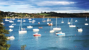 Jachthaven