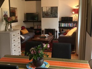 Älytelevisio, takka, DVD-soitin, kirjoja