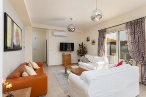 Televisión, reproductor de DVD y libros 