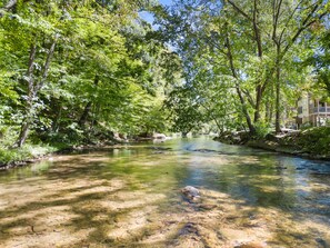 A clear river surrounded by dense green foliage and trees. - Chattahoochee River House 1 - Decorated for Christmas! (Helen)