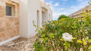 A stone pathway leading to a white building with a window and a door.