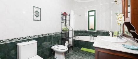 Une salle de bain équipée de toilettes, d’un bidet et d’une baignoire.