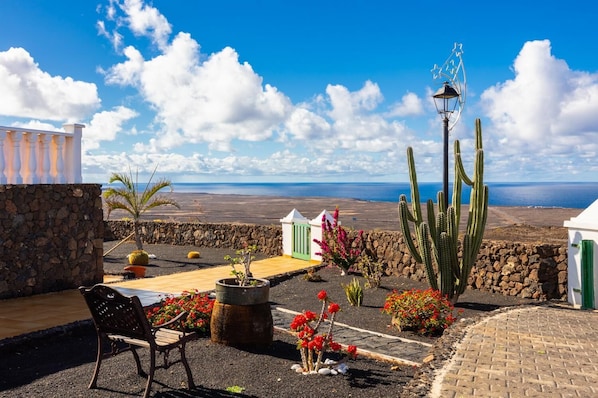A patio with a bench, potted plants, and a cactus.
