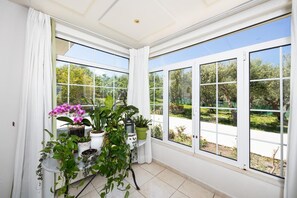 A room with large windows, a potted plant arrangement, and a view of greenery outside.