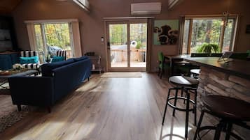 TV, fireplace, video games, books