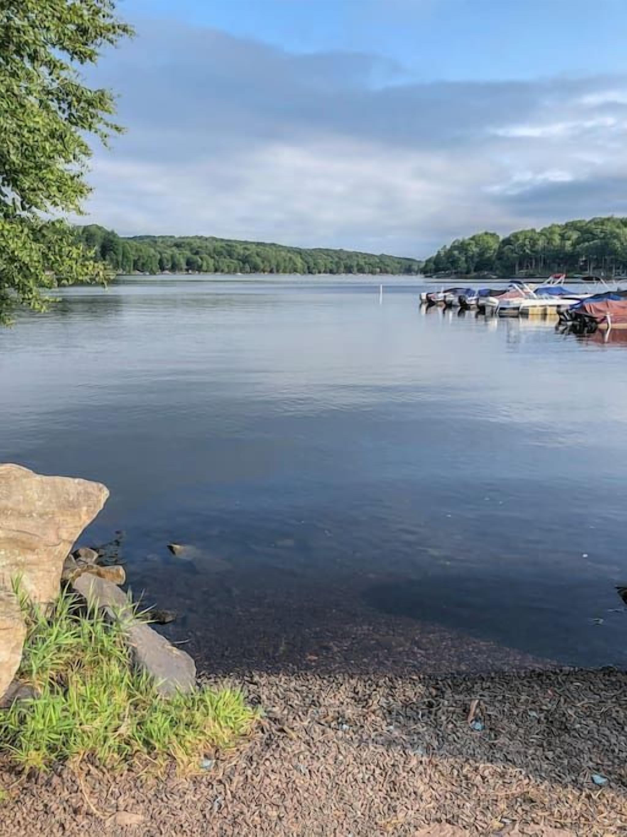 A calm lake with boats docked on the right, surrounded by trees and a clear sky.
