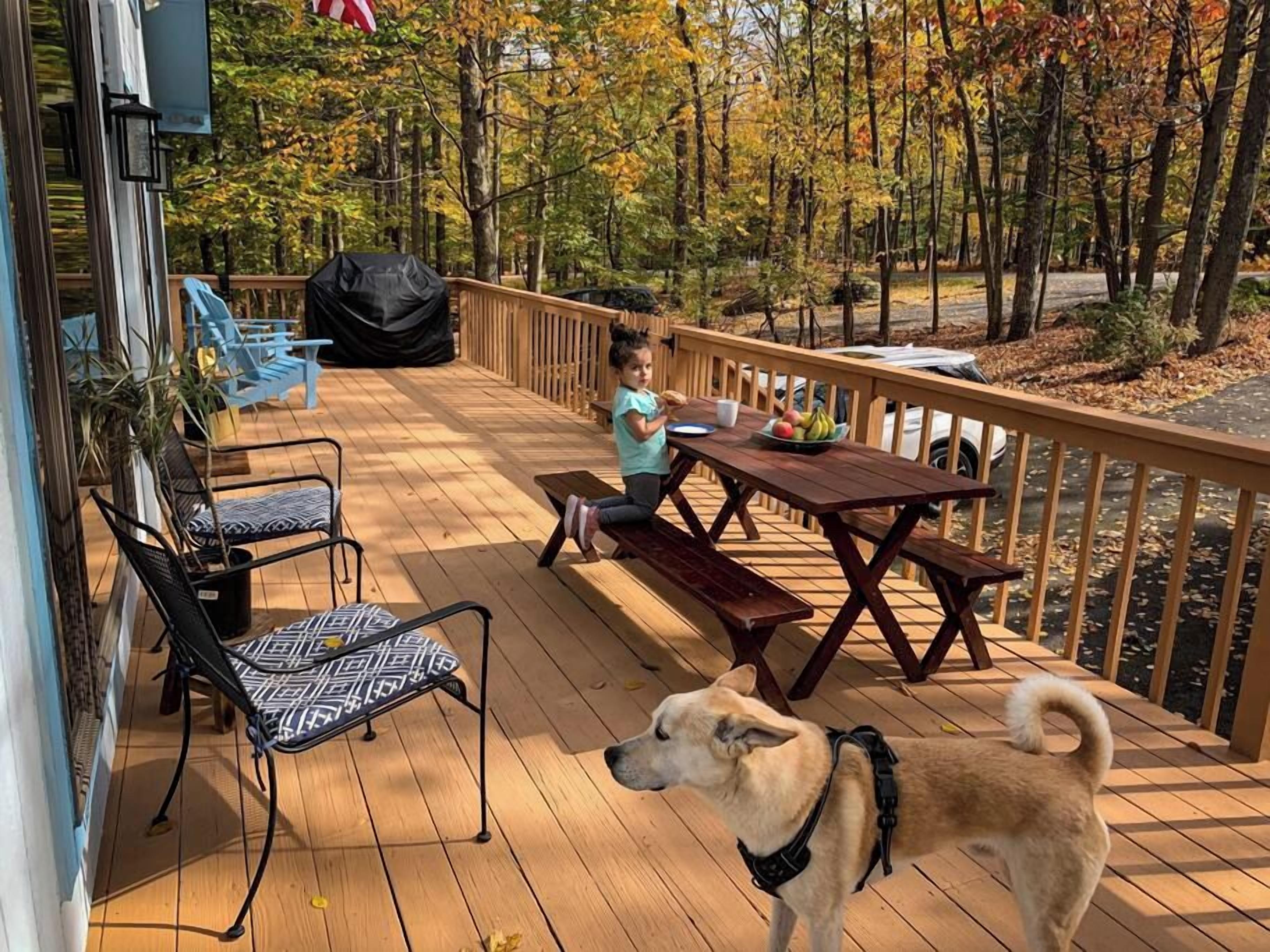 A wooden deck with a picnic table, chairs, and a dog.