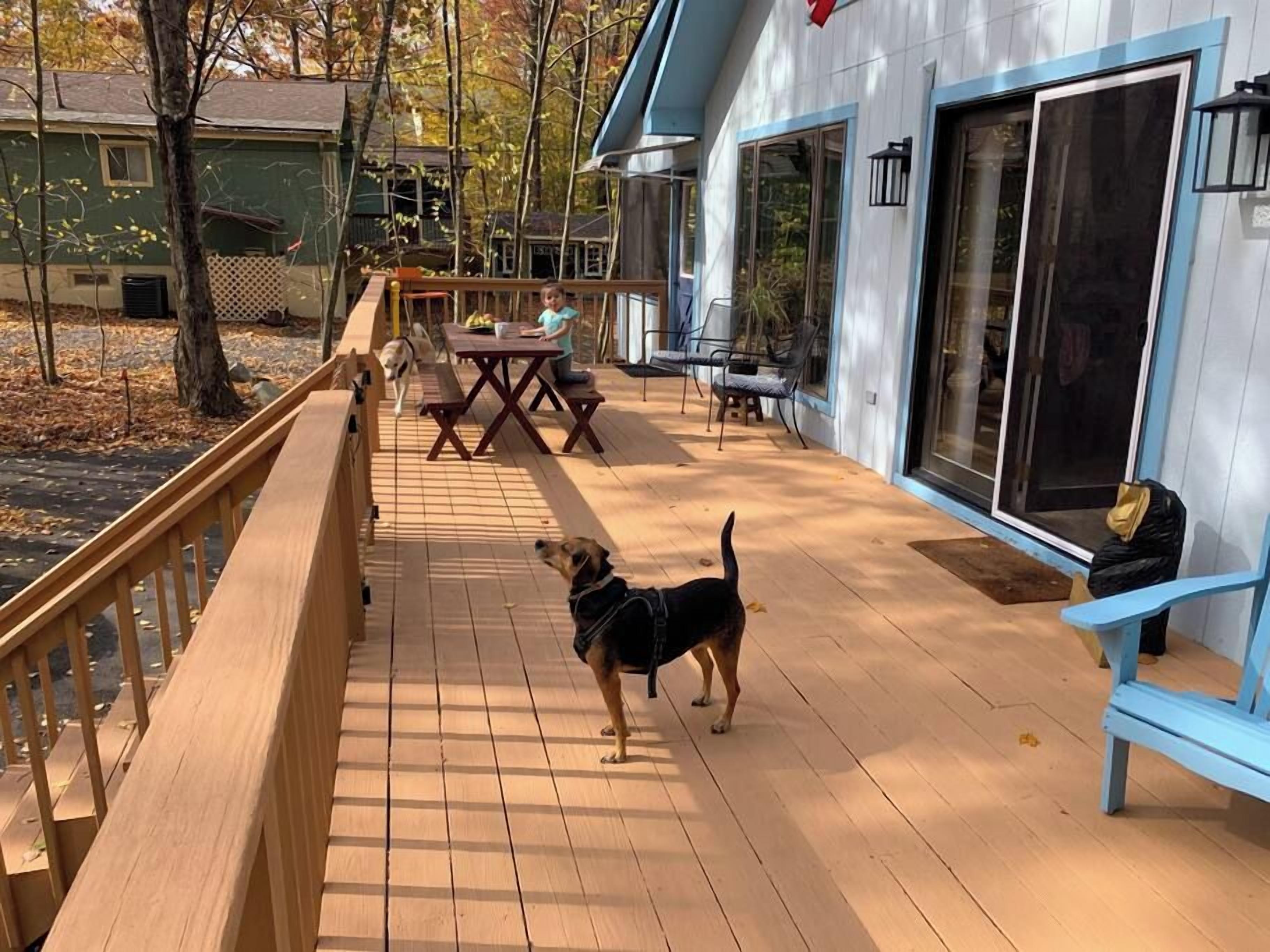 Una terraza de madera con una mesa y sillas, un perro, y un edificio con ventanas grandes y detalles azules.