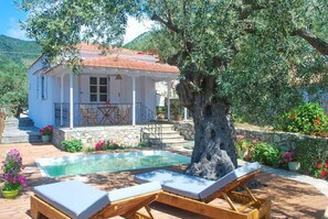 Property grounds - Neptune Private Pool, Walk to Beach, A/C, WiFi (Alonnisos)