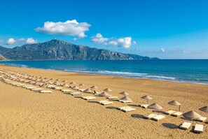 Playa