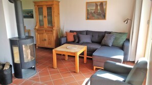 Televisión, chimenea, reproductor de DVD, libros