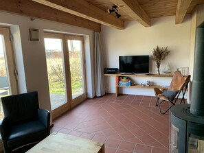 Televisión, chimenea, reproductor de DVD, libros