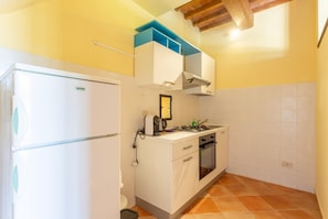 A compact kitchen with a white refrigerator, a stove, and a sink. - Villa Le Balze Large Private Pool, WiFi (Vinci)